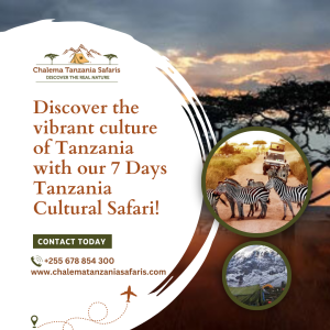 7 days tanzania safari