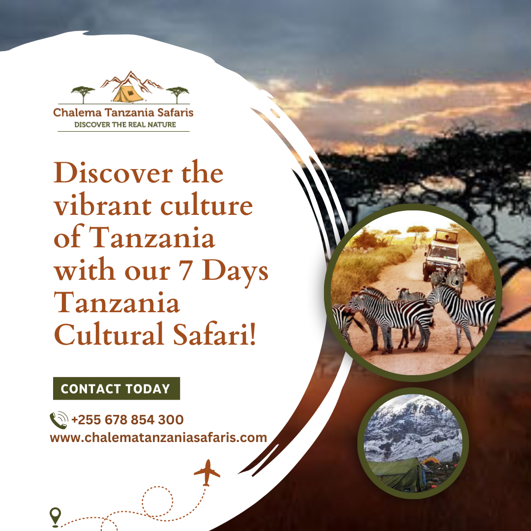 Experience Tanzania's Cultural Kaleidoscope in Mto wa Mbu