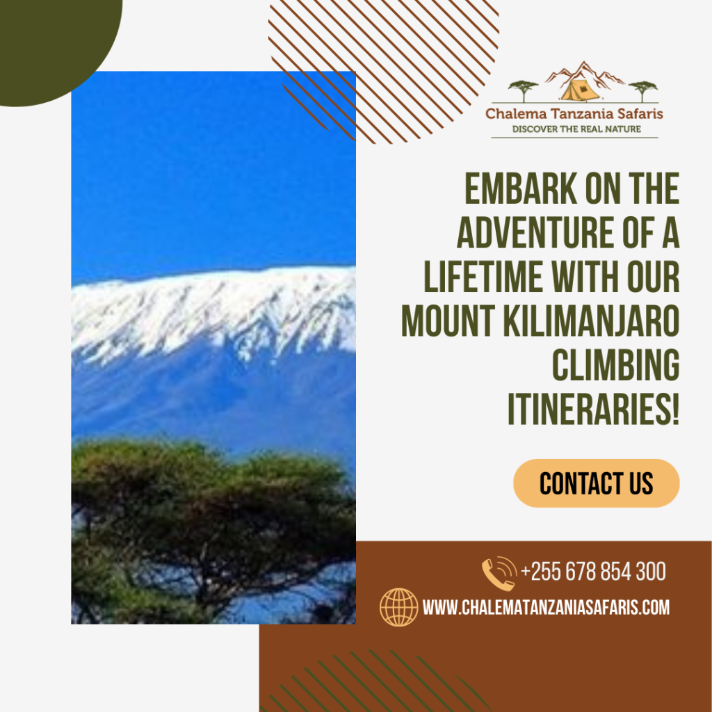 climbing-mount-kilimanjaro