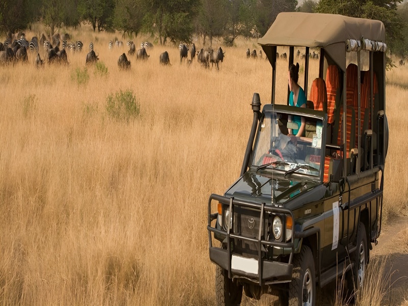 tanzania-safari-6-days
