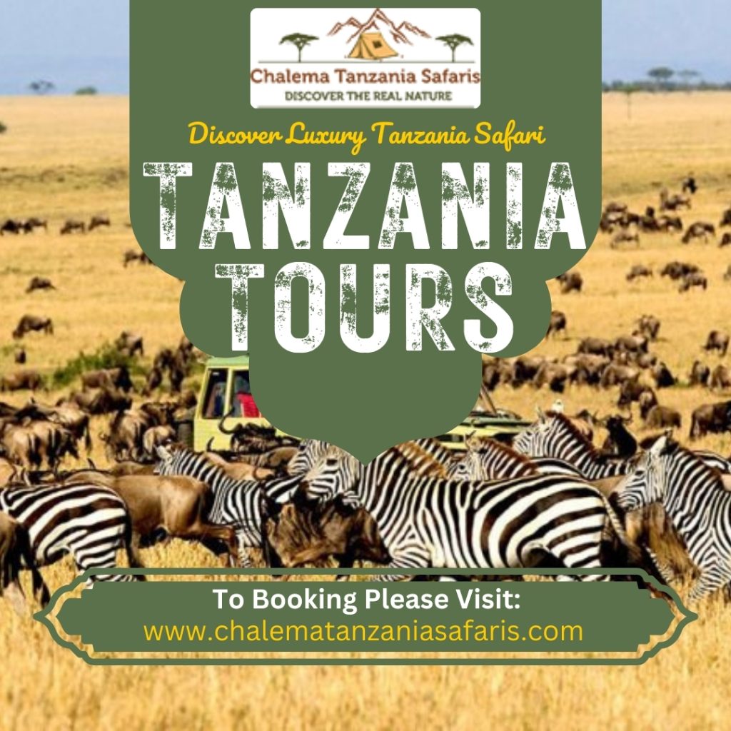 tanzania tour