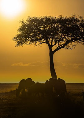 Serengeti National Park