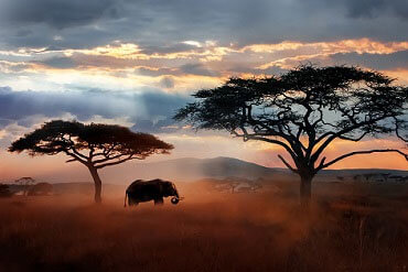 best-time-to-visit-tanzania