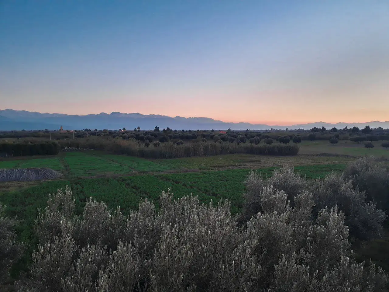 pexels-nourddine-sbaai-766068-1684242