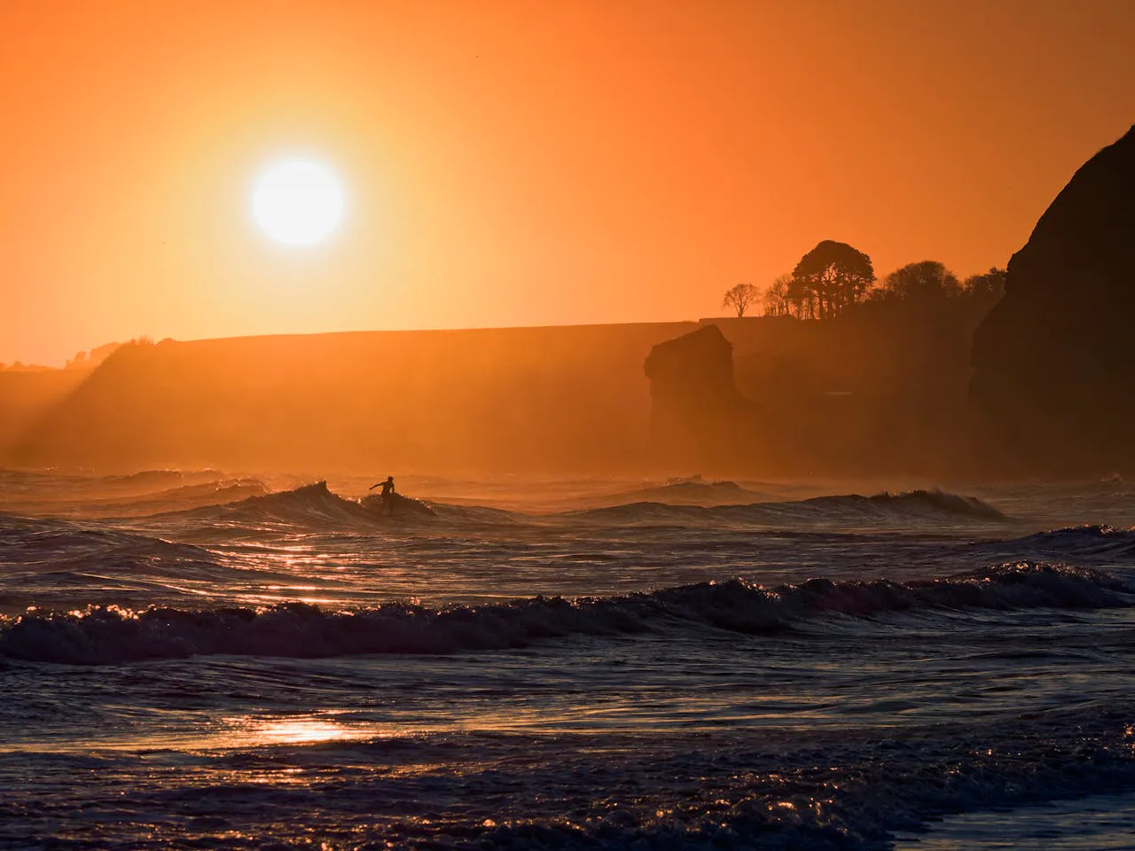 pexels-red-zeppelin-35445508