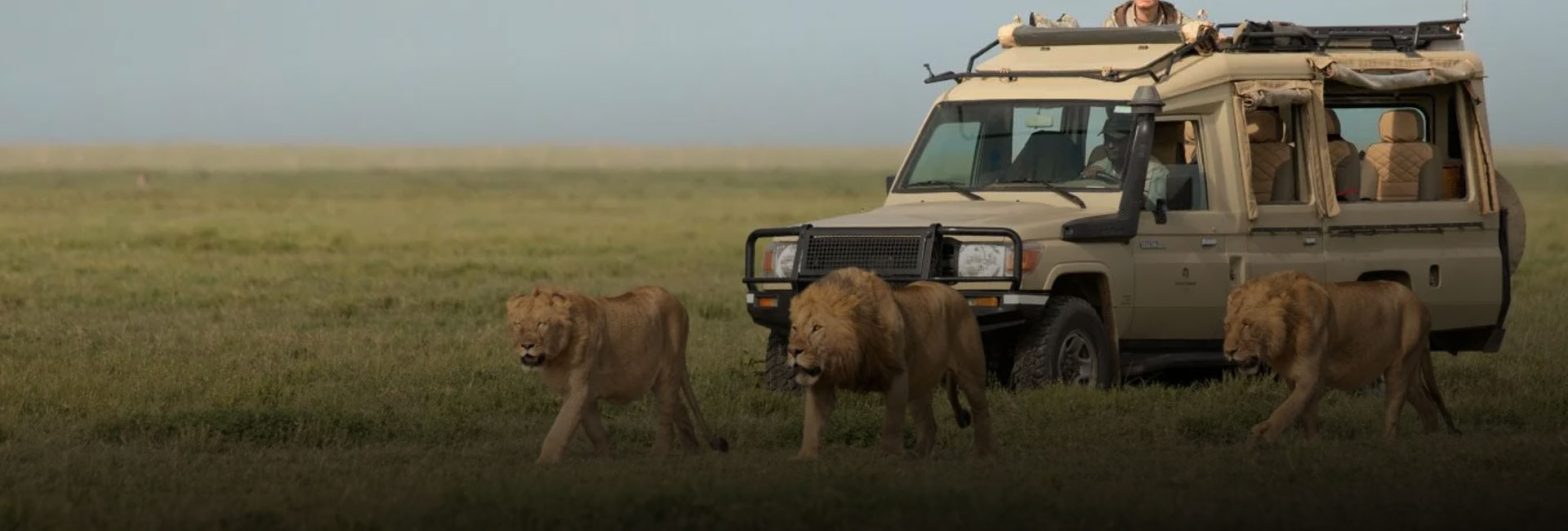 Tanzania cultural and wildlife safari